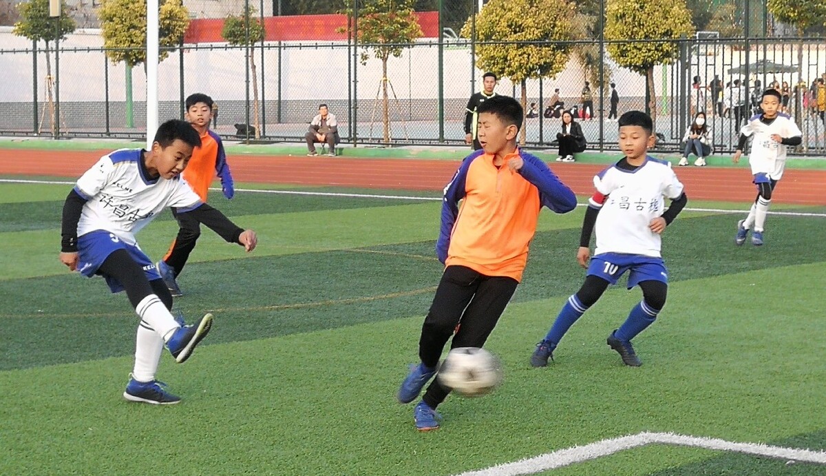 为职业球员 为职业球员