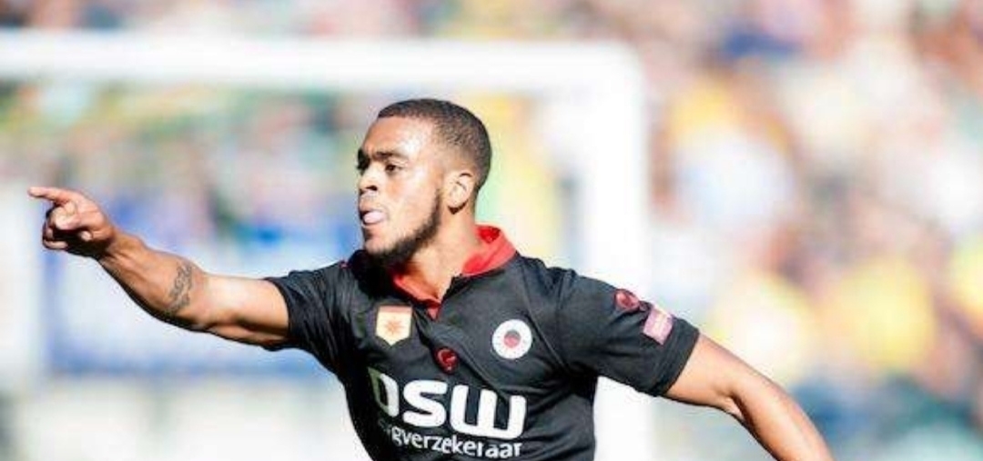 样化的战术 样化的战术