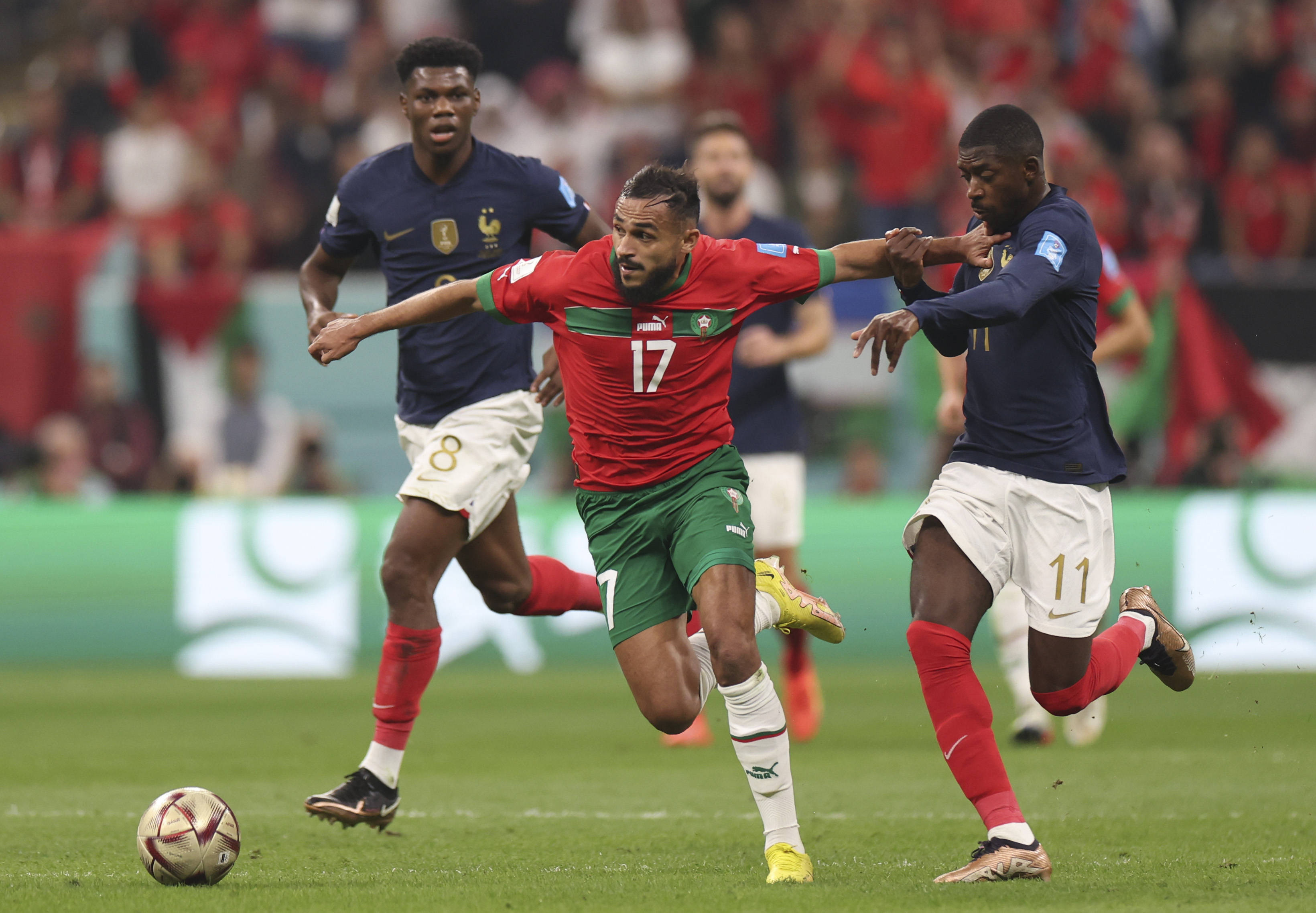 入了一位备 入了一位备