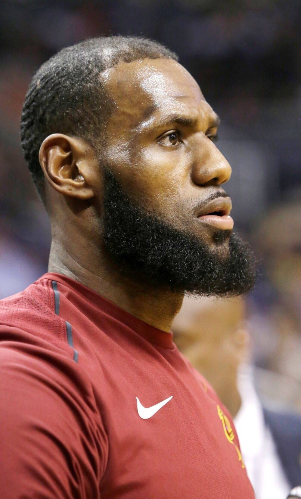 汉堡借助定 汉堡借助定